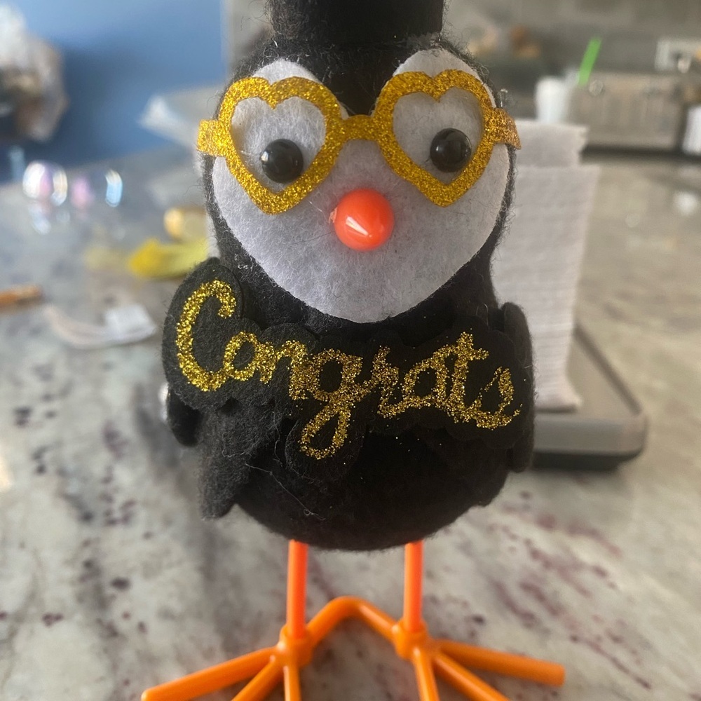 GRADUATION | Festive Congrats Bird Decor with Glitter Glasses and Grad Cap - Picture 6 of 8